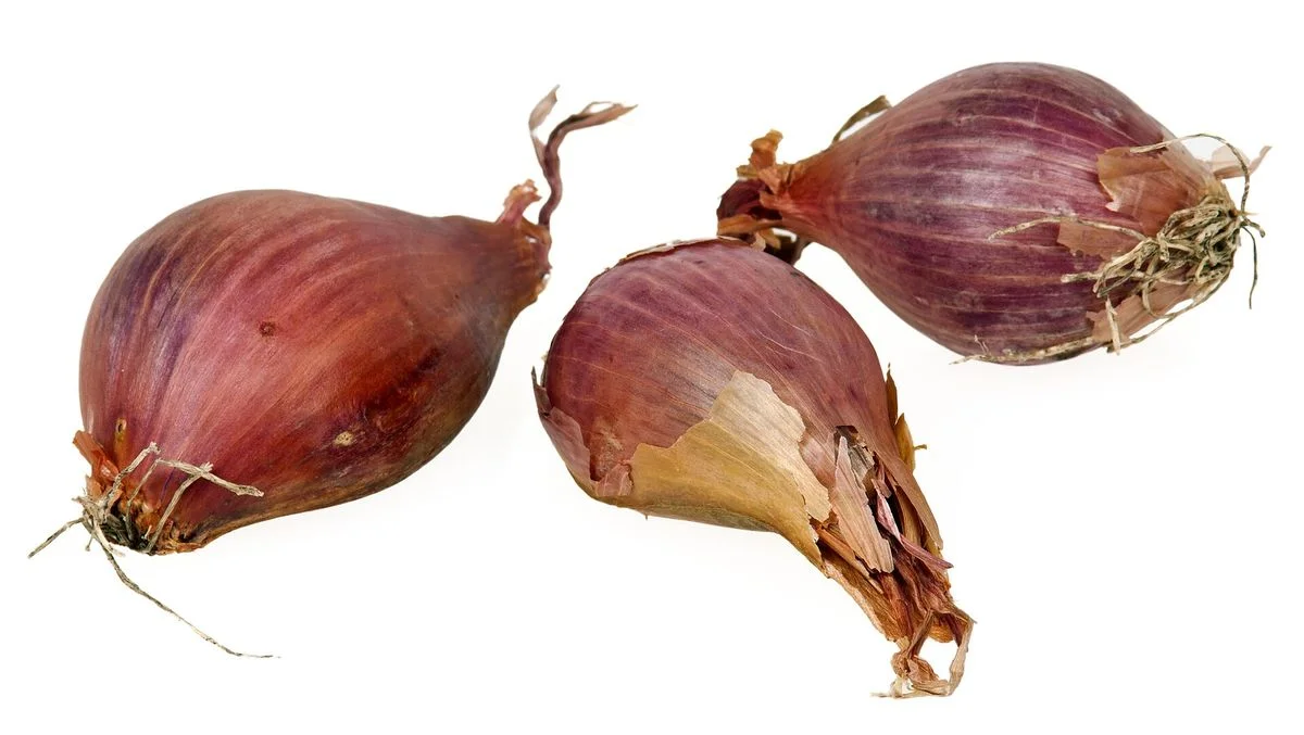 Three whole shallots